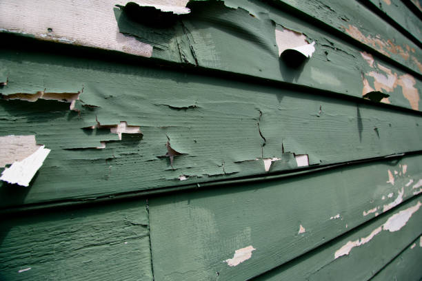 Best Custom Trim and Detailing for Siding  in Madison, AL