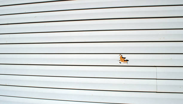 Best Insulated Siding Installation  in Madison, AL