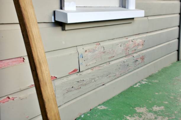 Best Storm Damage Siding Repair  in Madison, AL
